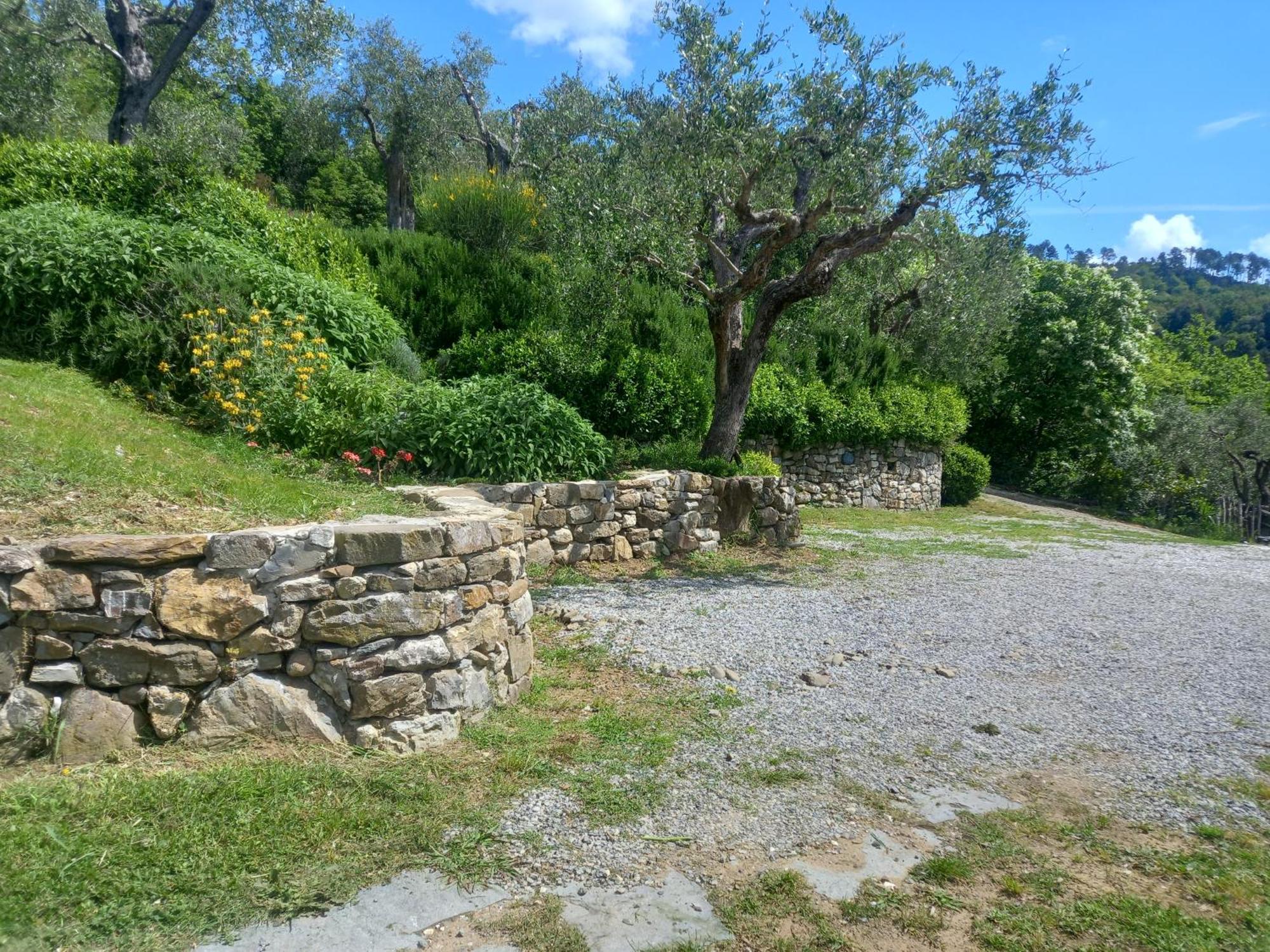 Il Colle Della Brina Hotel Sarzana Kültér fotó
