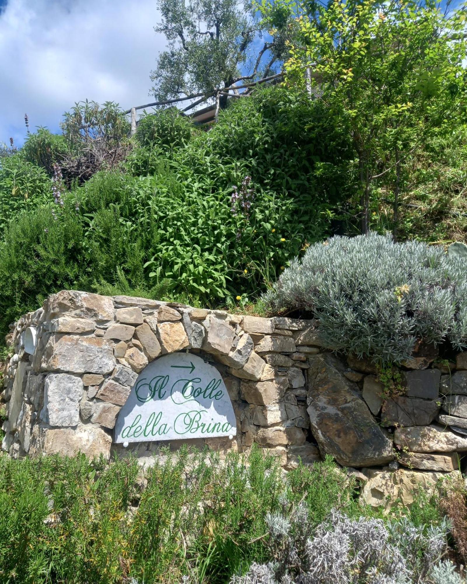Il Colle Della Brina Hotel Sarzana Kültér fotó